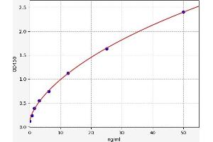 Typical standard curve (Emilin1 ELISA 试剂盒)