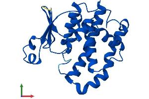 Protein Structure (PS) image for Glutathione S-Transferase, pi 2 (GSTP2) (AA 1-210) protein (His tag) (ABIN7563275)