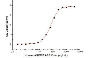 Activity Assay (AcA) image for Advanced Glycosylation End Product-Specific Receptor (AGER) (AA 24-344) (Active) protein (His-Fc tag) (ABIN7607568)