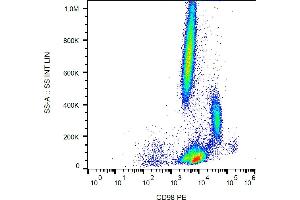 Flow cytometry analysis (surface staining) of human peripheral blood cells with anti-human CD98 (MEM-108) PE. (SLC3A2 抗体  (PE))