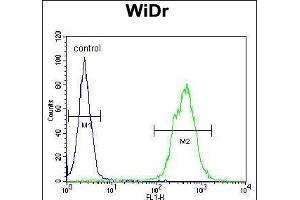 TOX3 Antibody (Center) (ABIN651009 and ABIN2840037) flow cytometric analysis of WiDr cells (right histogram) compared to a negative control cell (left histogram). (TOX3 抗体  (AA 214-242))