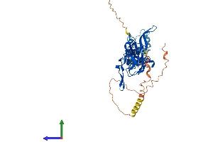 Protein Structure (PS) image for Potassium Inwardly-Rectifying Channel, Subfamily J, Member 4 (KCNJ4) (AA 1-445) protein (His tag) (ABIN7554342)