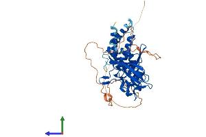 Protein Structure (PS) image for Protein Tyrosine Phosphatase, Non-Receptor Type 20B (PTPN20B) (AA 1-426) protein (His tag) (ABIN7562475)