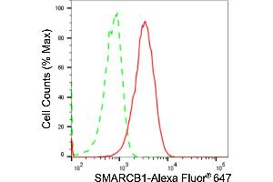 Flow cytometric analysis of SMARCB1 expression in HAP-1 cells using SMARCB1 antibody (ABIN7800478), 1:2,000).