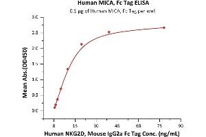 ELISA image for MHC Class I Polypeptide-Related Sequence A (MICA) (AA 24-308) (Active) protein (Fc Tag) (ABIN7013491)