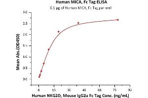 Immobilized Human MICA, Fc Tag (ABIN6973157) at 1 μg/mL (100 μL/well) can bind Human NKG2D, Mouse IgG2a Fc Tag (ABIN6973178) with a linear range of 0.