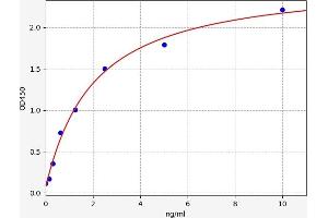 Typical standard curve (MAP2 ELISA 试剂盒)