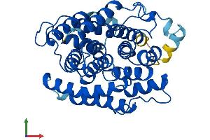 Protein Structure (PS) image for ADP-Ribosylhydrolase Like 1 (ADPRHL1) (AA 1-354) protein (His tag) (ABIN7552240)