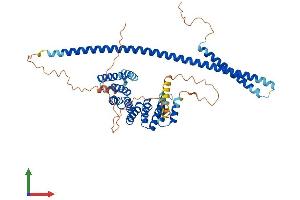 Protein Structure (PS) image for Kinesin Light Chain 3 (KLC3) (AA 1-504) protein (His tag) (ABIN7548818)