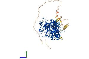 Protein Structure (PS) image for Mbt Domain Containing 1 (MBTD1) (AA 1-631) protein (His tag) (ABIN7557999)