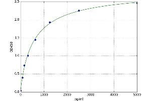Platelet-Derived Growth Factor Receptor-Like (PDGFRL) ELISA Kit