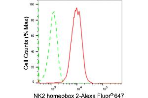 Flow cytometric analysis of NK2 homeobox 2 expression in HAP-1 cells using NK2 homeobox 2 antibody (ABIN7799610), 1:2,000). (Recombinant Nkx2-2 抗体)