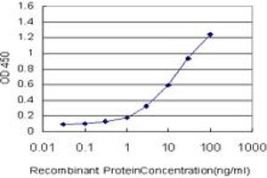 ELISA image for anti-A Kinase (PRKA) Anchor Protein 17A (AKAP17A) (AA 53-157) antibody (ABIN599035) (SFRS17A 抗体  (AA 53-157))