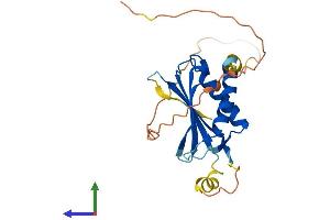 AlphaFold protein structure predicition of Mouse Recombinant Ddit4 Protein, UniprotID Q9D3F7
