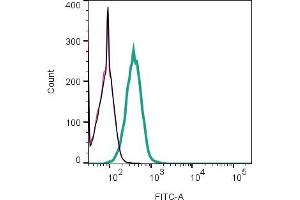 Cell surface detection of HTR1D by indirect flow cytometry in live intact human  monocytic leukemia cell line: + goat-anti-rabbit-FITC.