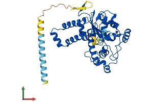 AlphaFold protein structure predicition of Mouse Recombinant Tpst1 Protein, UniprotID O70281 (TPST1 Protein (AA 1-370) (His tag))