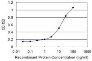 Detection limit for recombinant GST tagged DECR1 is 0. (DECR1 抗体  (AA 236-335))