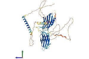 Protein Structure (PS) image for Synaptotagmin XIV (SYT14) (AA 1-555) protein (His tag) (ABIN7544177)