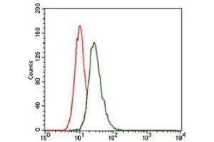 Flow Cytometry (FACS) image for anti-Low Density Lipoprotein Receptor-Related Protein 5 (LRP5) antibody (ABIN1108063) (LRP5 抗体)