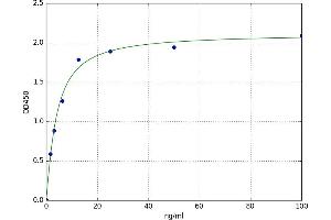 A typical standard curve (REG3g ELISA 试剂盒)