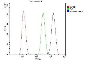 Flow Cytometry analysis of U20S cells using anti-RALBP1 antibody (ABIN5692936). (RALBP1 抗体  (AA 239-506))