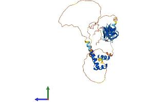 Protein Structure (PS) image for LIM Homeobox 9 (LHX9) (AA 1-397) protein (His tag) (ABIN7556276)