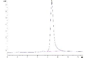 Size-exclusion chromatography-High Pressure Liquid Chromatography (SEC-HPLC) image for Clusterin (CLU) (AA 22-448) protein (His tag) (ABIN7274369)