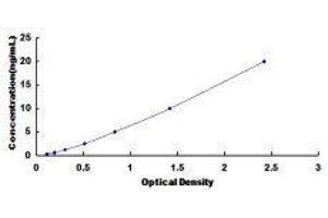 Toll-Like Receptor 1 (TLR1) ELISA Kit