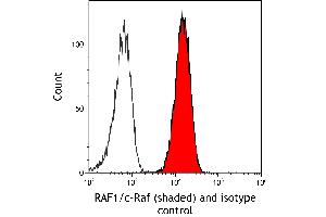 Flow Cytometry (FACS) image for anti-V-Raf-1 Murine Leukemia Viral Oncogene Homolog 1 (RAF1) (AA 300-350) antibody (ABIN7795692) (Recombinant RAF1 抗体  (AA 300-350))