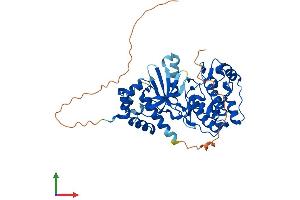 AlphaFold protein structure predicition of Mouse Recombinant Nim1k Protein, UniprotID Q8BHI9 (NIM1 Protein (AA 1-436) (His tag))