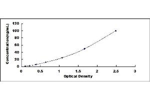 Typical standard curve (GRIN1/NMDAR1 ELISA 试剂盒)