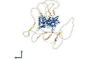 Protein Structure (PS) image for Protein Tyrosine Phosphatase G1 (PTPN12) (AA 1-775) protein (His tag) (ABIN7563191)
