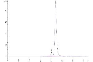 The purity of Mouse CD5L is greater than 95 % as determined by SEC-HPLC. (CD5L Protein (AA 22-352) (His tag))