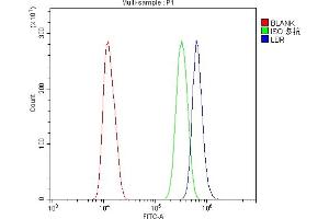 Flow Cytometry analysis of U20S cells using anti-LBR antibody (ABIN6719340). (Lamin B Receptor 抗体  (AA 102-209))