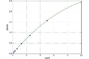 Calcium-Sensing Receptor (CASR) ELISA Kit