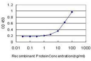 Detection limit for recombinant GST tagged NDST3 is approximately 1ng/ml as a capture antibody. (NDST3 抗体  (AA 162-259))