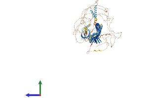 Protein Structure (PS) image for FK506 Binding Protein 15, 133kDa (FKBP15) (AA 1-1216) protein (His tag) (ABIN7564102)