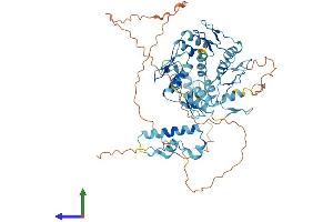 Protein Structure (PS) image for Zinc Finger Protein 354A (ZNF354A) (AA 1-605) protein (His tag) (ABIN7545715)