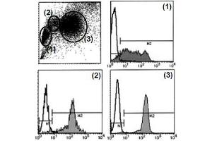Flow Cytometry (FACS) image for anti-Sialophorin (SPN) antibody (ABIN1106370) (CD43 抗体)
