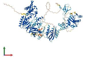 AlphaFold protein structure predicition of Human Recombinant HERVK_113 Protein, UniprotID P63132 (HERVK_113 (AA 1-956) protein (His tag))