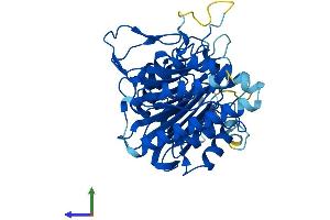 Protein Structure (PS) image for Secernin 3 (SCRN3) (AA 1-418) protein (His tag) (ABIN7557071)
