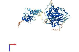 USP22 Protein (AA 1-525) (His tag)