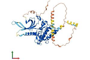 Protein Structure (PS) image for serine/threonine Kinase 40 (STK40) (AA 1-435) protein (His tag) (ABIN7558235)