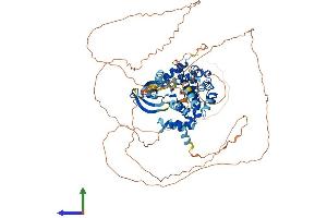 AlphaFold protein structure predicition of Mouse Recombinant Nek4 Protein, UniprotID Q9Z1J2 (NEK4 Protein (AA 1-792) (His tag))