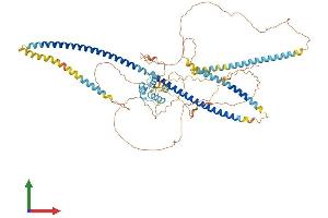 AlphaFold protein structure predicition of Mouse Recombinant Ccpg1 Protein, UniprotID Q640L3