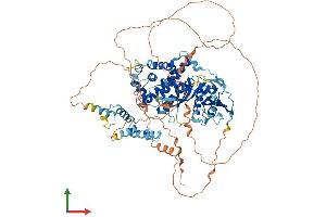 Protein Structure (PS) image for PiggyBac Transposable Element Derived 1 (PGBD1) (AA 1-809) protein (His tag) (ABIN7550666)