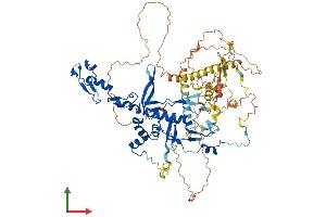 AlphaFold protein structure predicition of Mouse Recombinant Fbxo30 Protein, UniprotID Q8BJL1