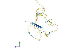 Protein Structure (PS) image for Cell Division Cycle Associated 5 (CDCA5) (AA 1-252) protein (His tag) (ABIN7553224)