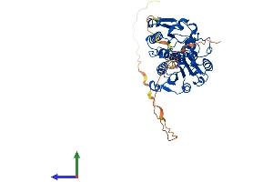 Protein Structure (PS) image for C-terminal Binding Protein 1 (CTBP1) (AA 1-440) protein (His tag) (ABIN7546846)
