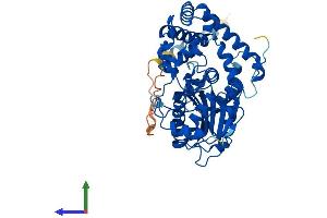 AlphaFold protein structure predicition of Human Recombinant PXYLP1 Protein, UniprotID Q8TE99